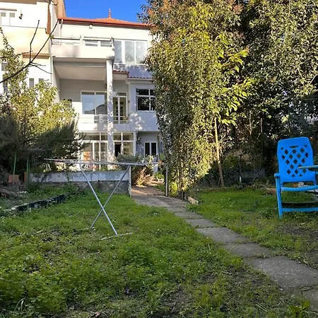 Chatnoirporto Lamaison *
